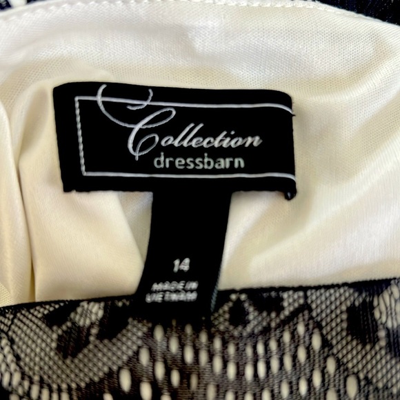 Elegant Lace Dress (dress barn ) - Picture 2 of 7